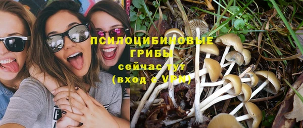 PSILOCYBIN Россошь