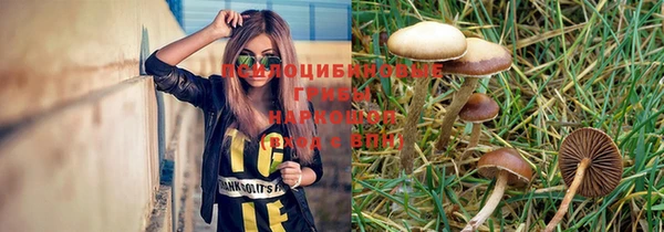PSILOCYBIN Арсеньев