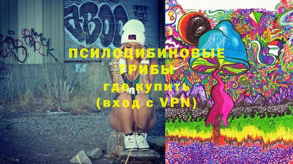 PSILOCYBIN Арсеньев